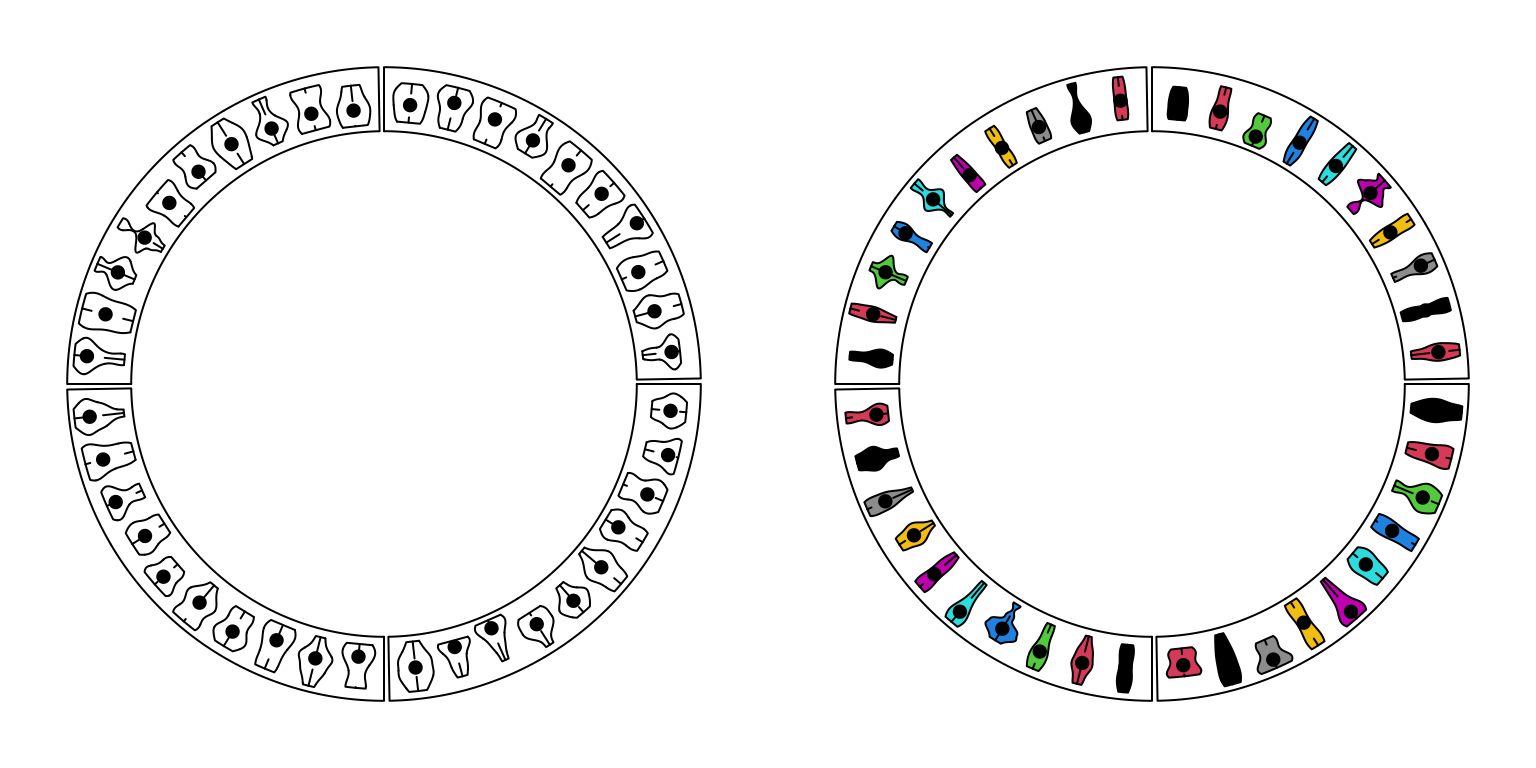 Circular violin plots.