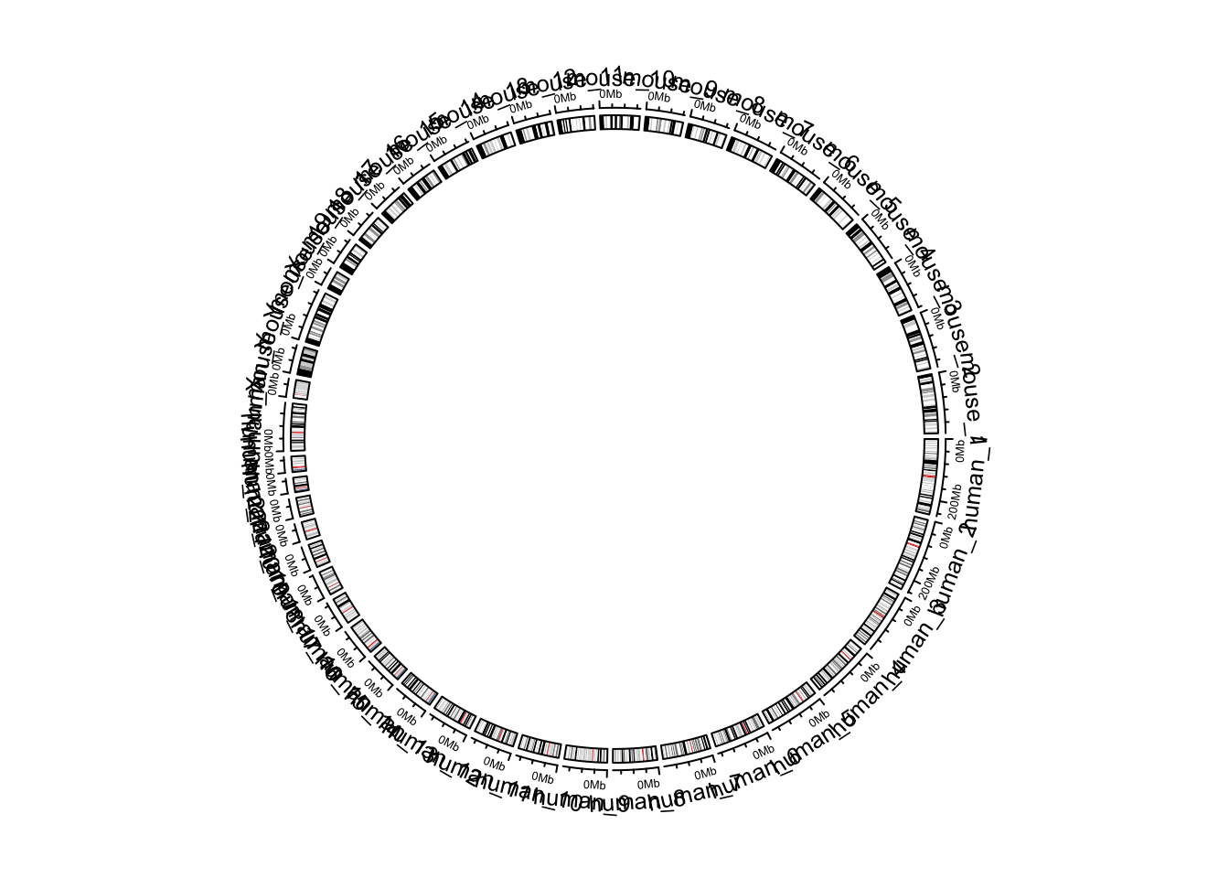 Default style of two combined genomes.