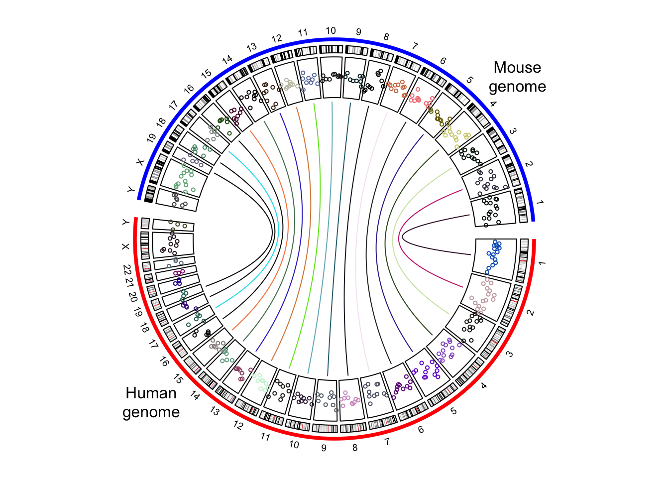 The combined genome with more tracks.