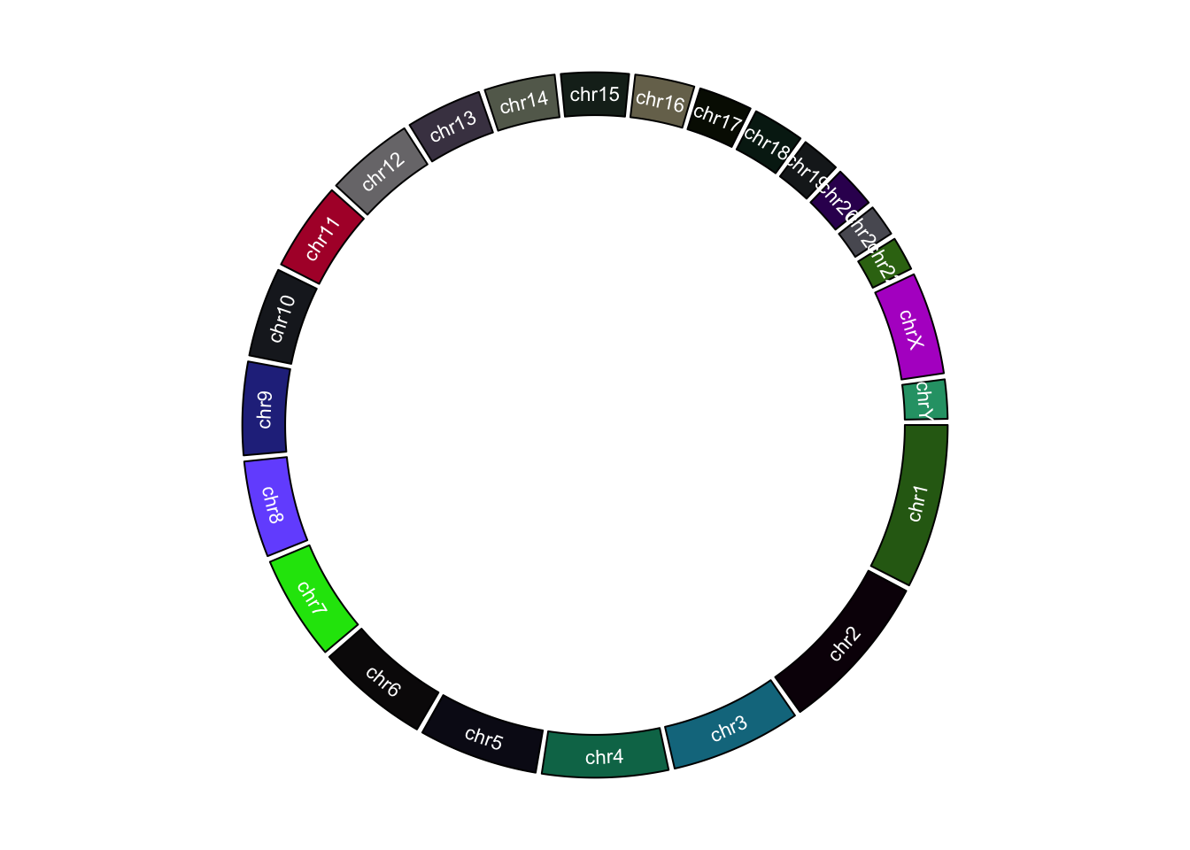 Customize chromosome track.