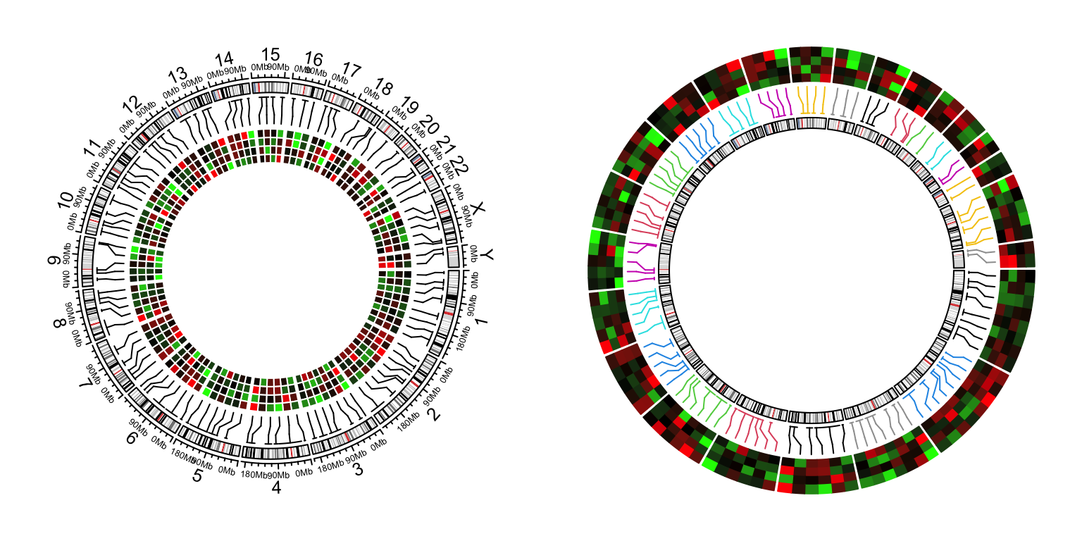 Genomic heamtaps.